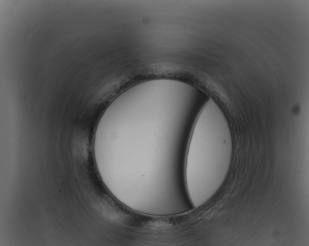 X0000090430644200707131009