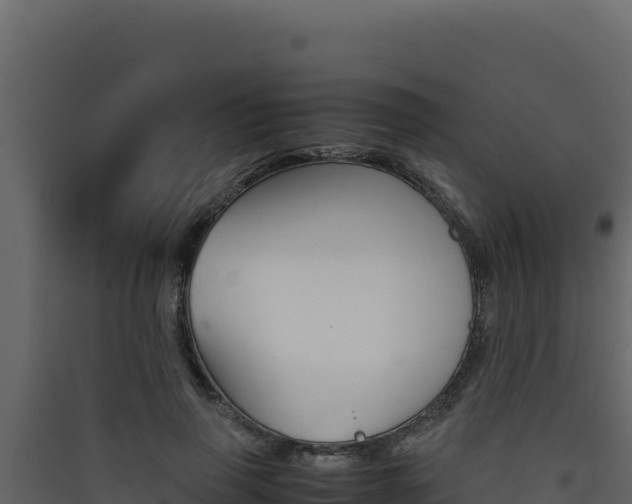 X0000090430645200707131009