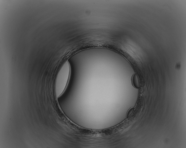 X0000090430646200707131009