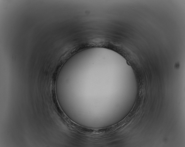 X0000090430647200707131009