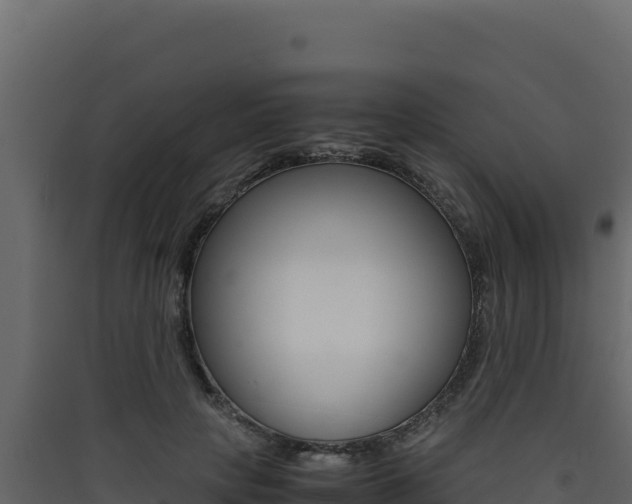 X0000090430649200707131009
