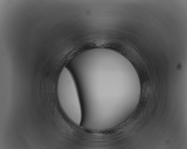 X0000090430650200707131009