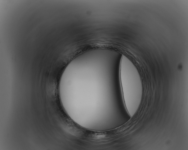 X0000090430651200707131009