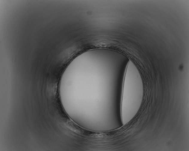X0000090430652200707131009