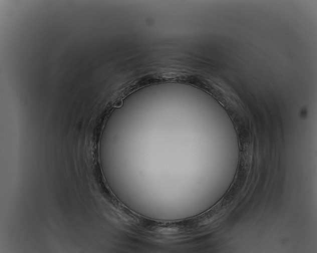 X0000090430653200707131009
