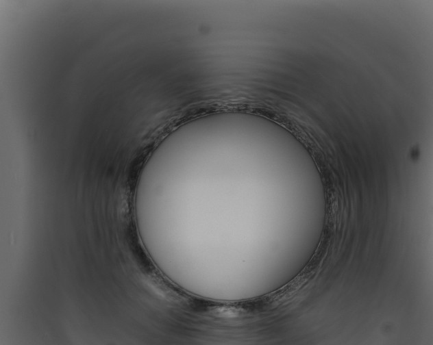 X0000090430654200707131009