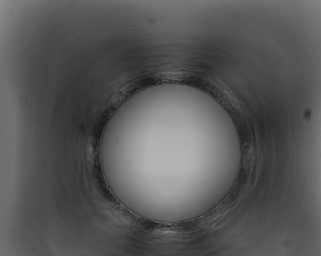 X0000090430655200707131009