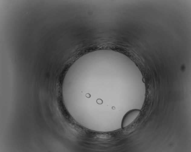 X0000090430659200707131009