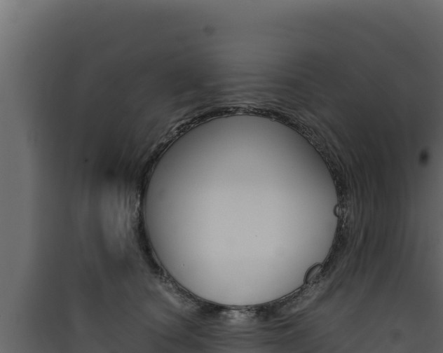 X0000090430660200707131009