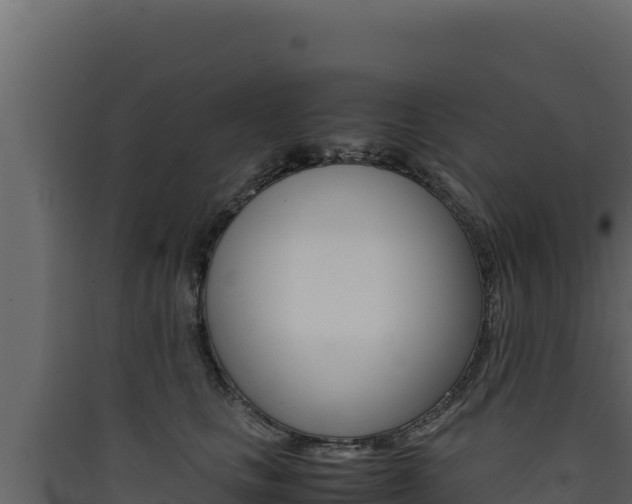 X0000090430661200707131009