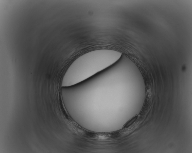 X0000090430662200707131009