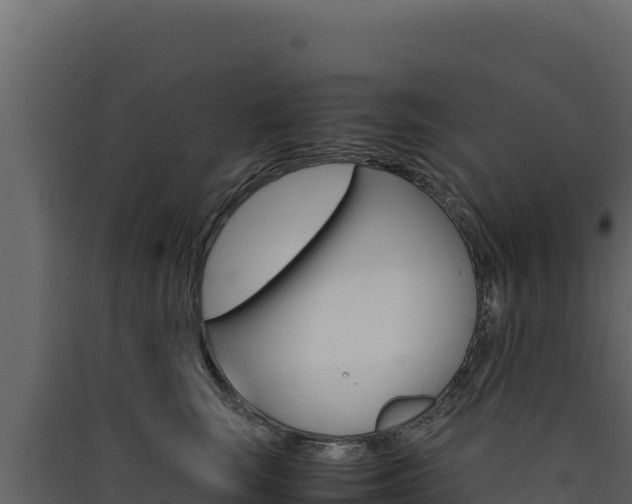 X0000090430663200707131009
