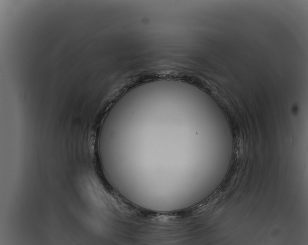 X0000090430664200707131009