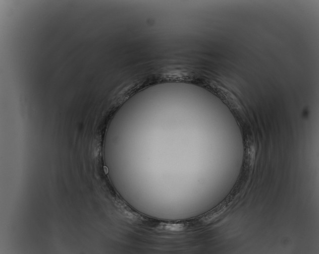 X0000090430665200707131009