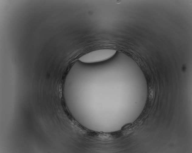 X0000090430666200707131009