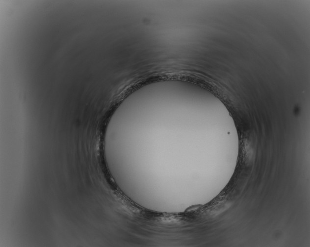 X0000090430668200707131009