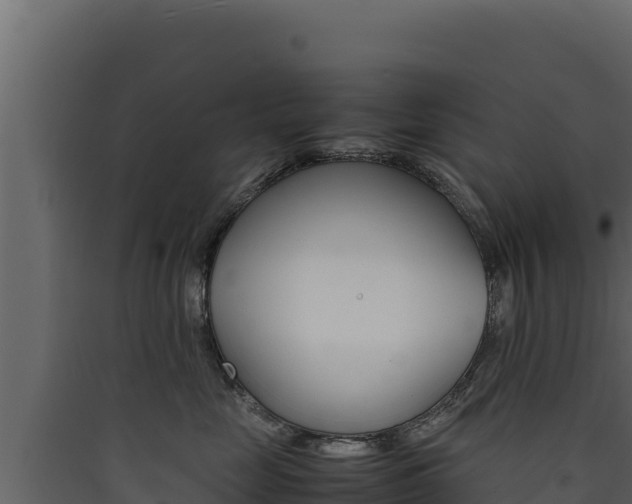 X0000090430669200707131009