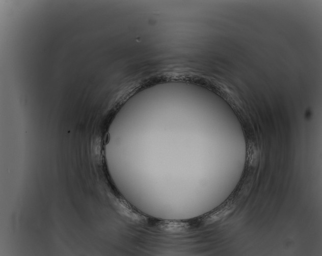 X0000090430670200707131009