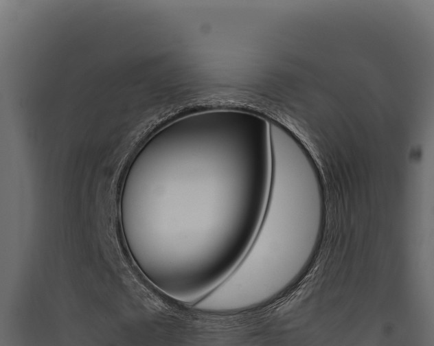X0000090430673200707131009