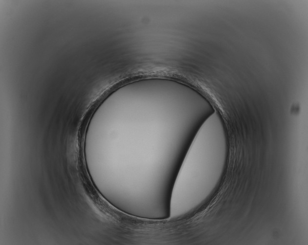 X0000090430674200707131009