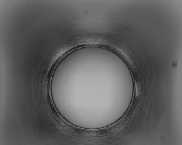 X0000090430675200707131009
