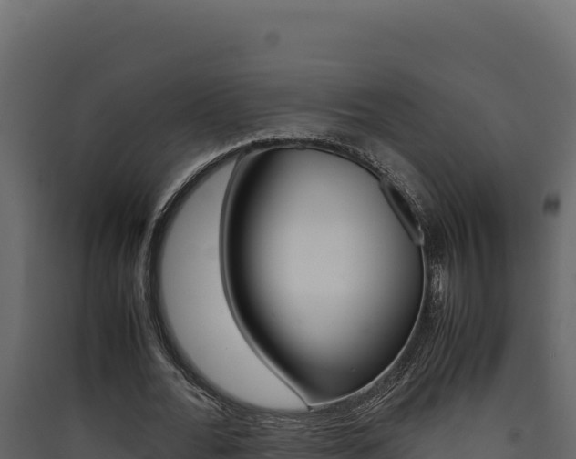 X0000090430676200707131009