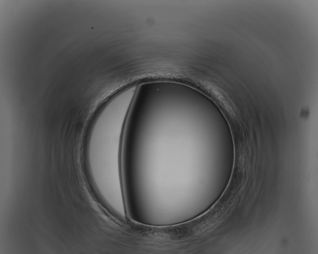 X0000090430677200707131009
