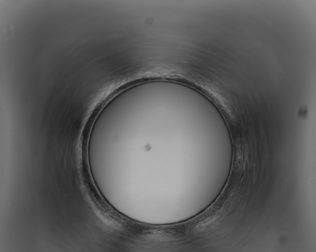 X0000090430678200707131009