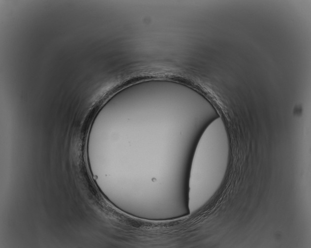 X0000090430679200707131009