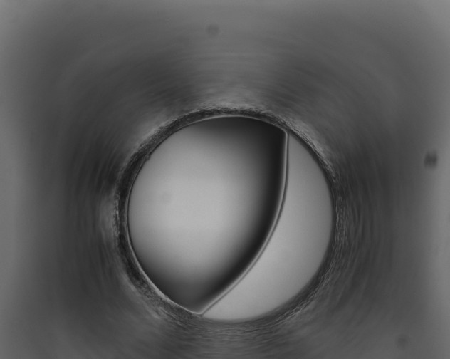 X0000090430680200707131009