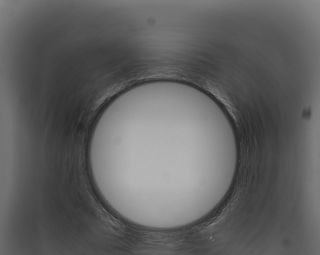X0000090430681200707131009