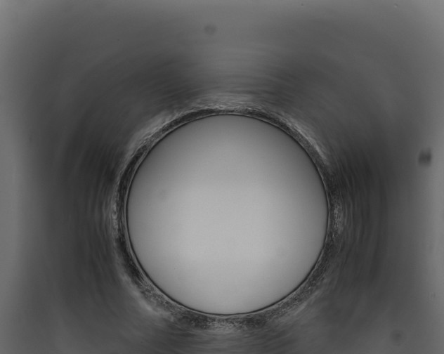 X0000090430682200707131009