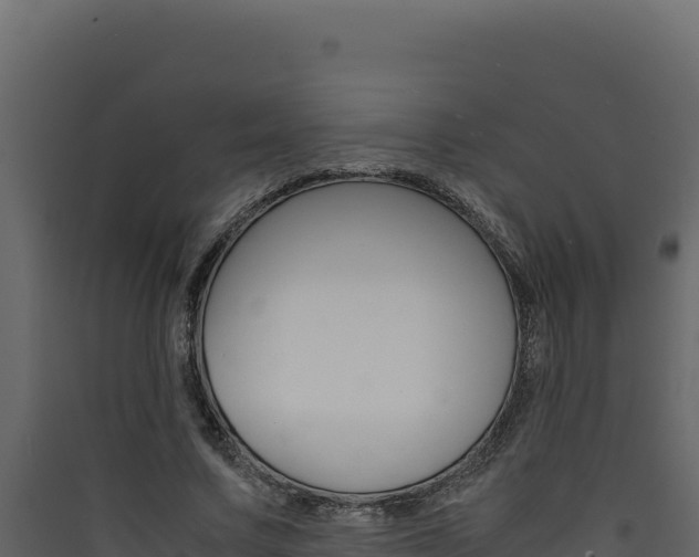 X0000090430683200707131009