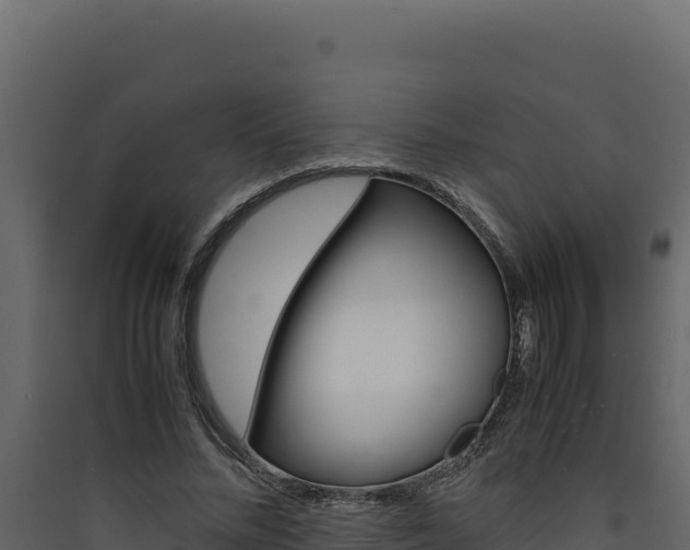 X0000090430684200707131009