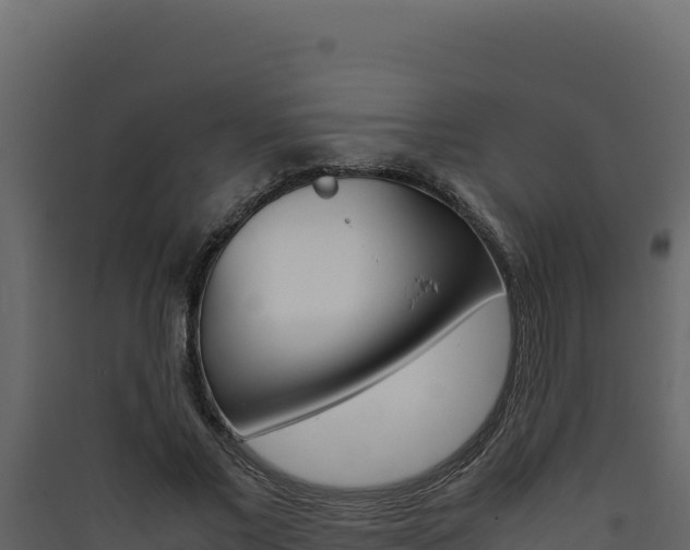 X0000090430685200707131009