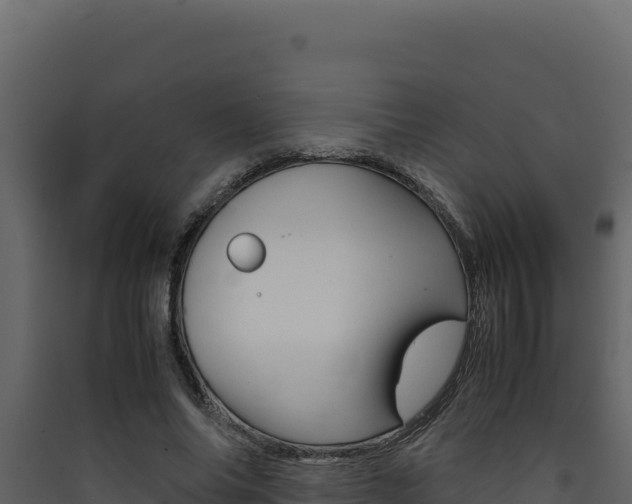 X0000090430686200707131009