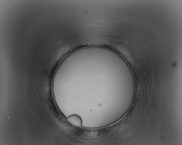 X0000090430687200707131009