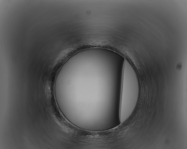 X0000090430688200707131009