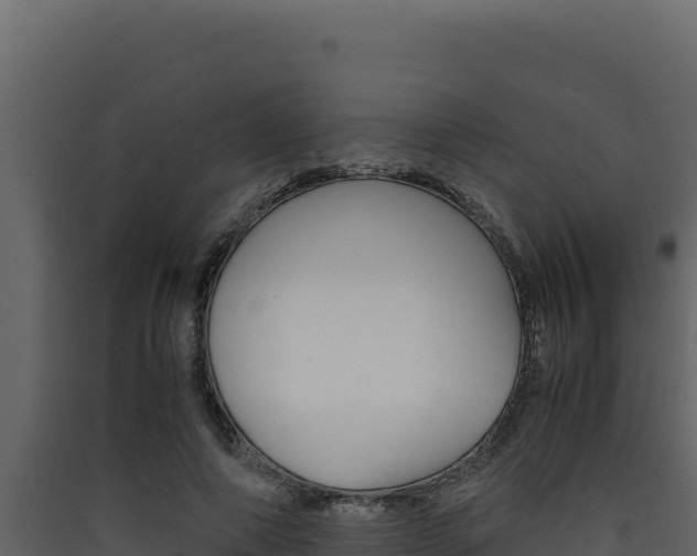 X0000090430690200707131009