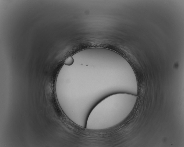 X0000090430691200707131009