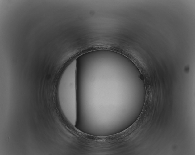X0000090430692200707131009