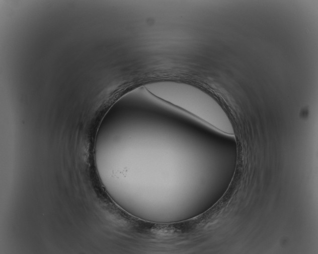 X0000090430693200707131009