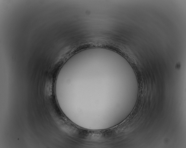 X0000090430694200707131008