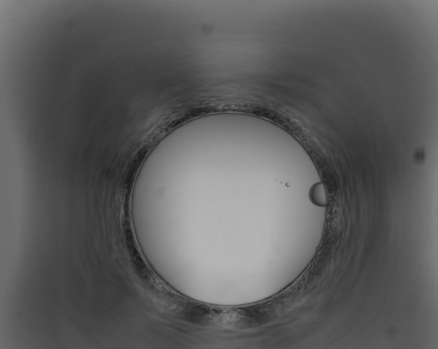 X0000090430695200707131008