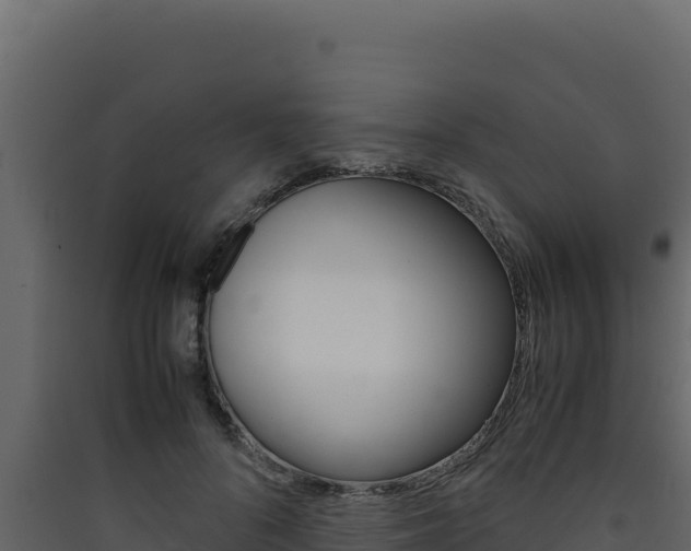 X0000090430696200707131008