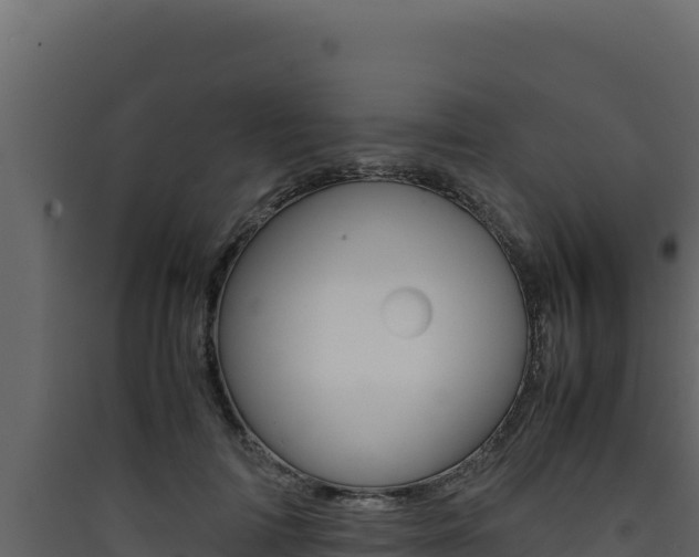 X0000090430698200707131008