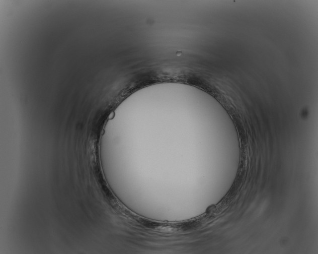 X0000090430699200707131008