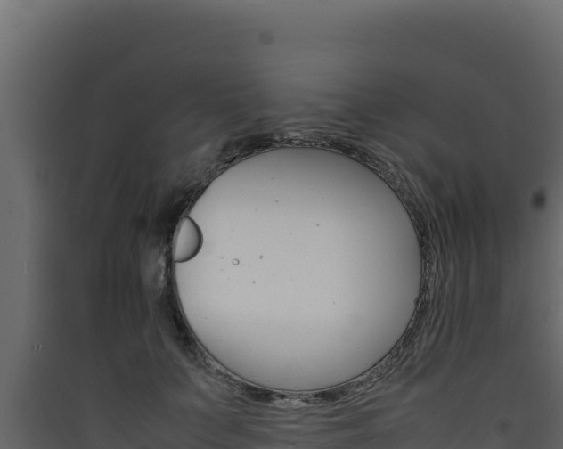 X0000090430703200707131008