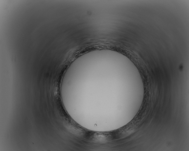 X0000090430706200707131008