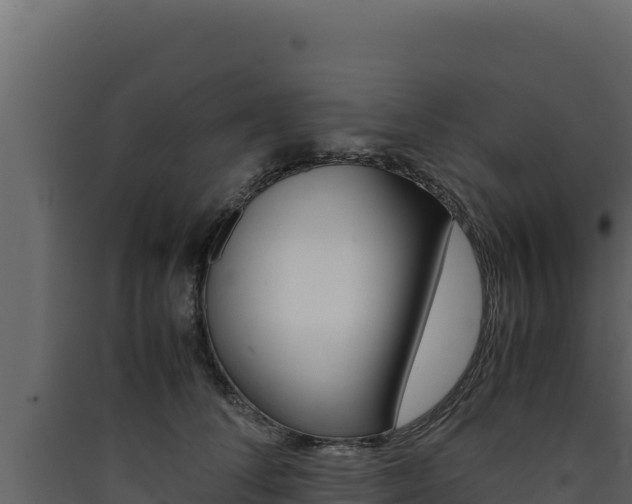 X0000090430708200707131008